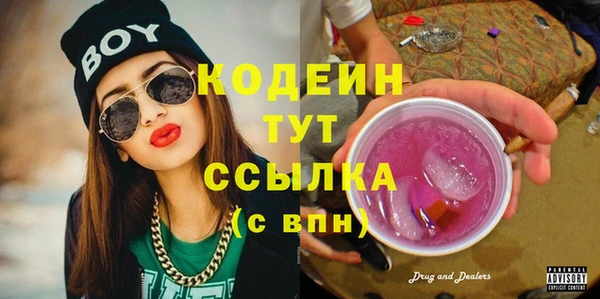 spice Каменка