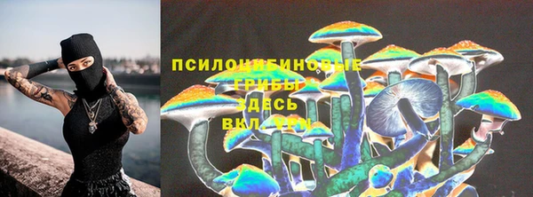 стафф Покровск