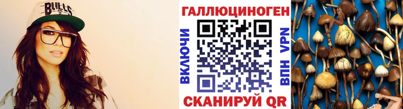 Галлюциногенные грибы Psilocybe Колпашево